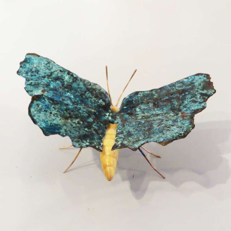 Small Blue Butterfly - rear view